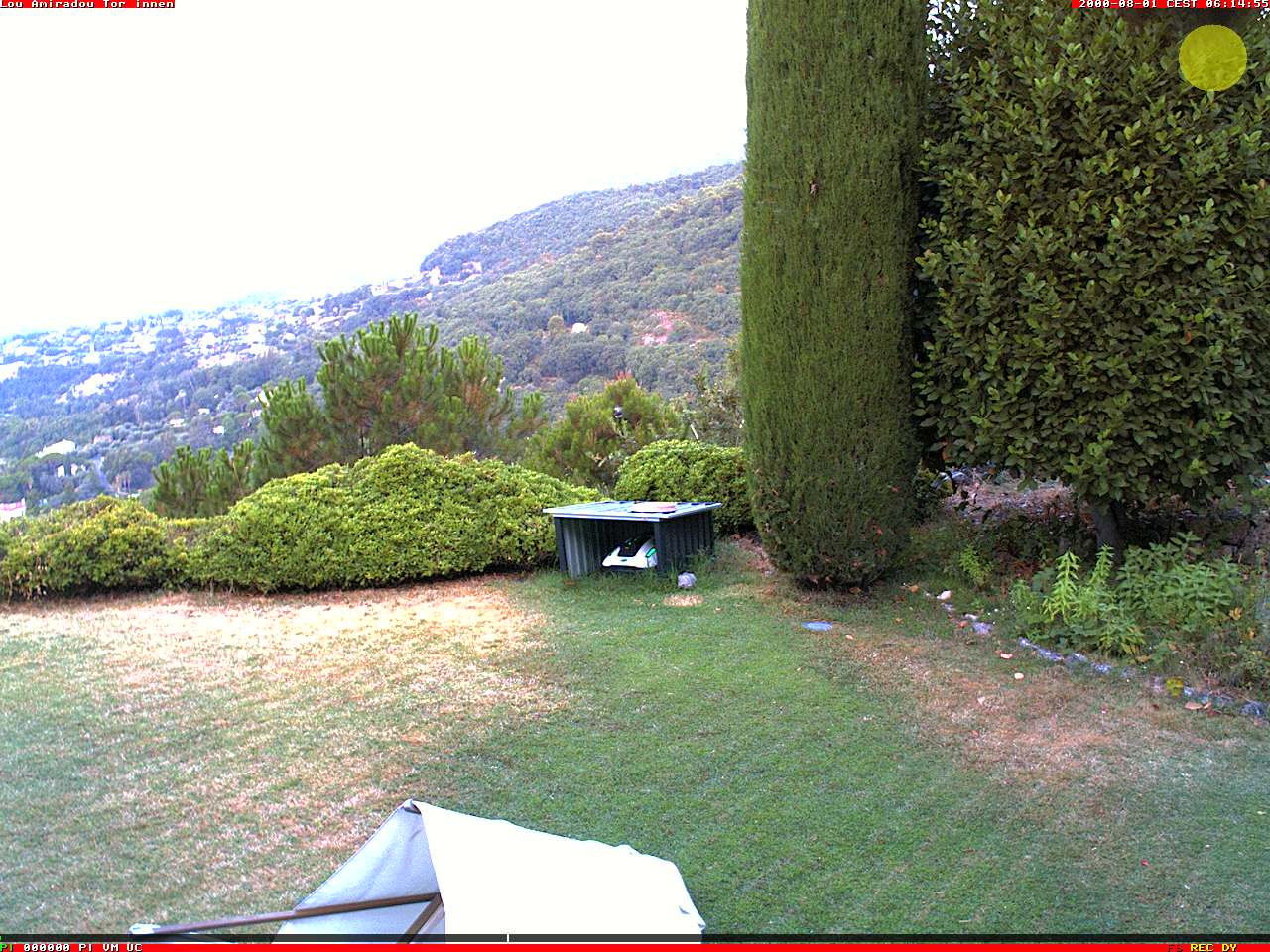 Camera Live Image