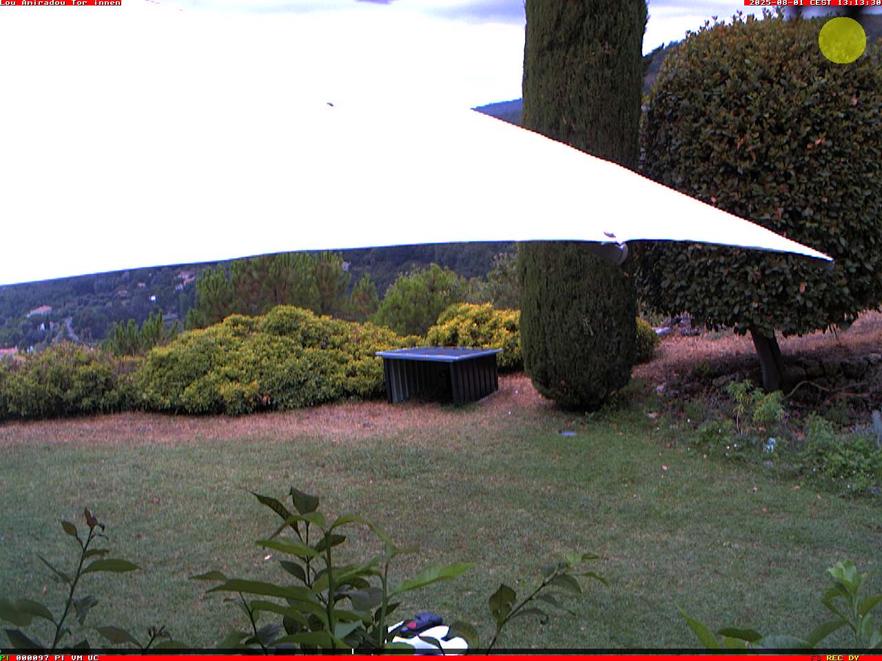 Camera Live Image