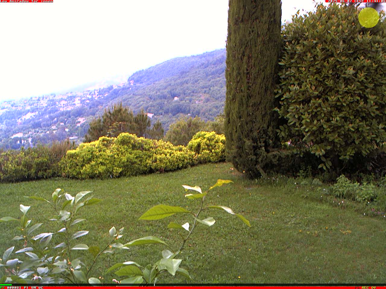 Camera Live Image